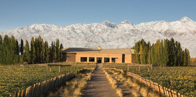 ボデガス_サレンテイン