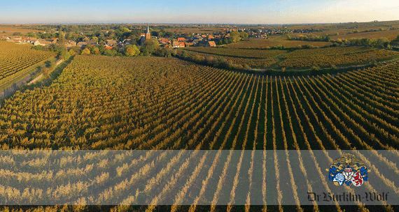 ビュルクリン-ウルフ博士