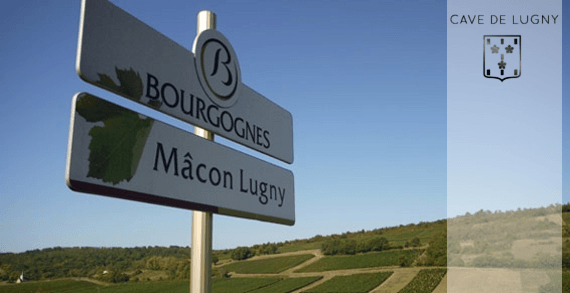 ケーブ・ド・ルグニー ケーブ・ド・ルグニー