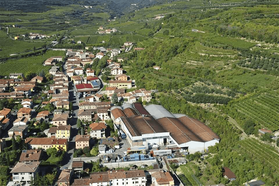 コントリ・スプマンティ-・トゥデイ