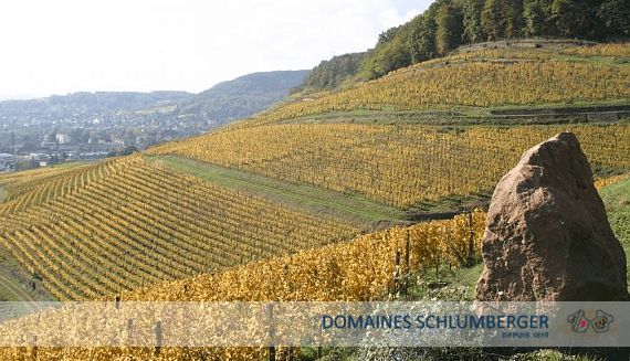 シュルンベルジェのドメイン