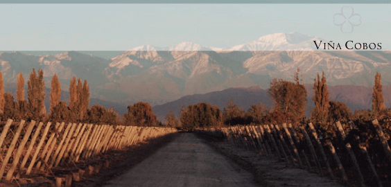 ビーニャ・コボス ビーニャ・コボス