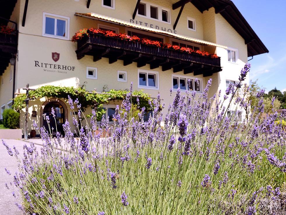 Weingut-Tenuta-Ritterhof5874e3580d723