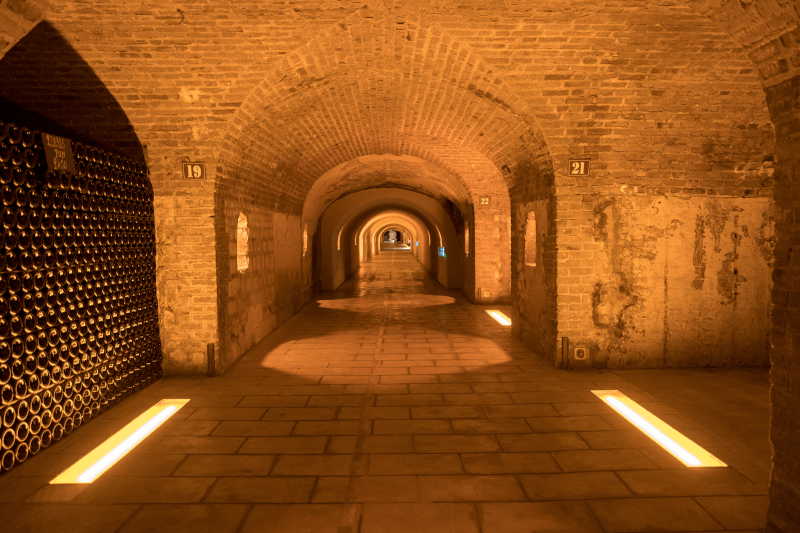 鍛え抜かれたシャンパーニュ・ポメリーの白亜の坑道