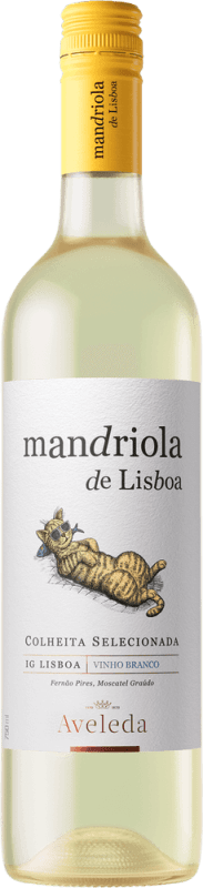 Branco - Mandriola de Lisboa