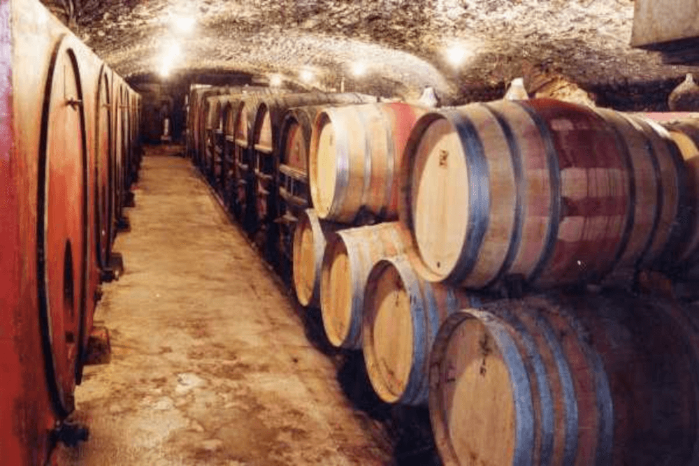 ローラン・ペラション・ワインセラー ローラン・ペラション・ワインセラー