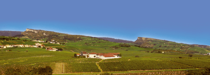 ボーレガード城からの眺め