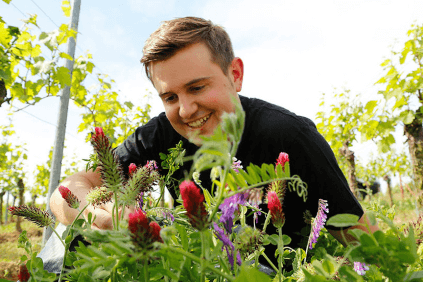 ドミニク・スター