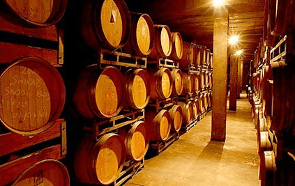 デルハイムのワインセラーにて デルハイムのワインセラーにて