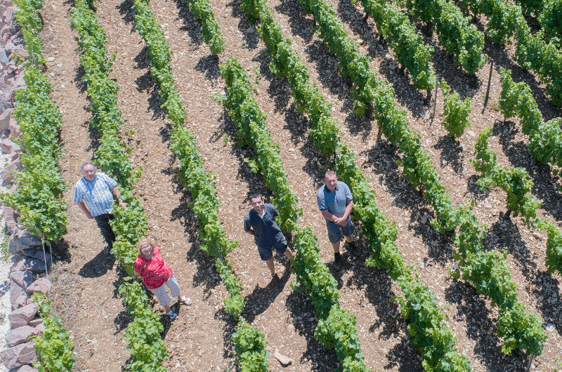 畑でのクリスチャン、ニコル、ブノワ、ティボーの様子 畑でのクリスチャン、ニコル、ブノワ、ティボーの様子