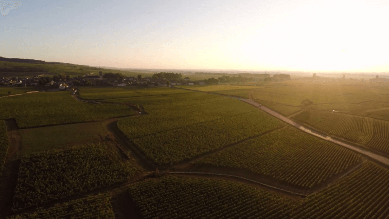 ヴォルネイ村のブドウ畑の眺め