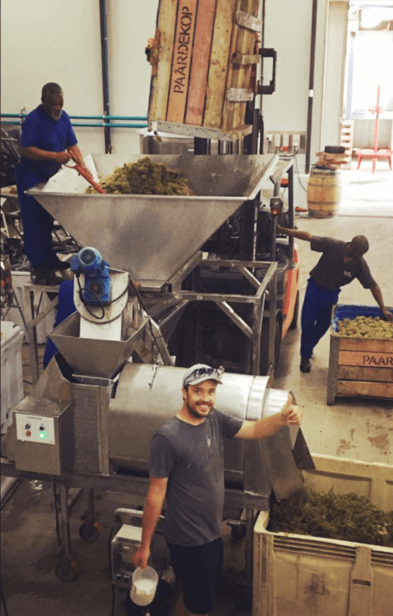 リーベックバレーワインのセラーでの作業風景 リーベックバレーワインのセラーでの作業風景