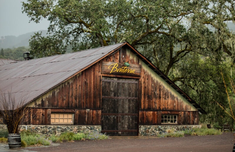 weingut-bonterra-weinberg-1