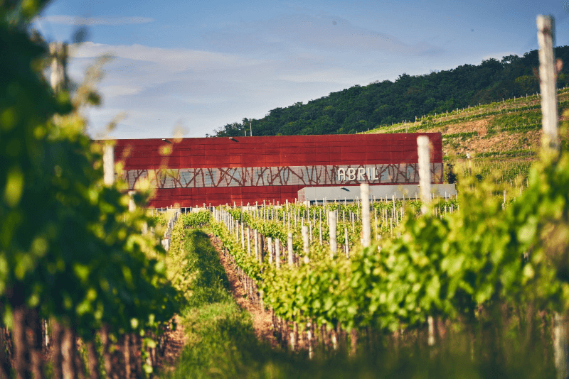 アブリル醸造所の新しいセラー アブリル醸造所の新しいセラー