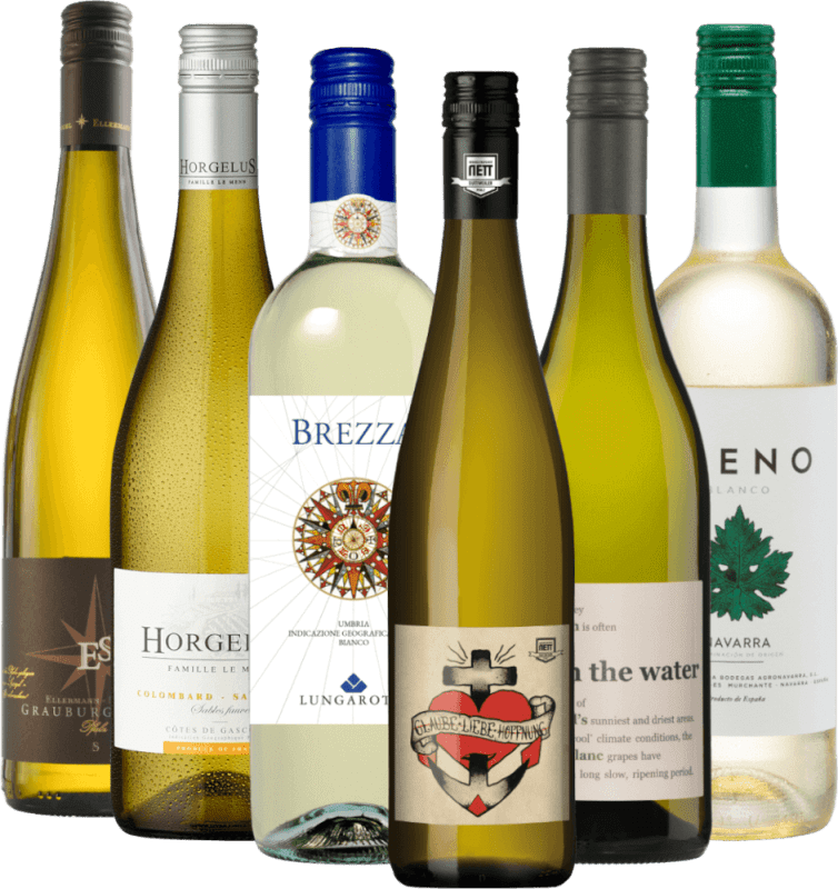 VINELLOのベスト白ワイン-トップセラー6倍パッケージ