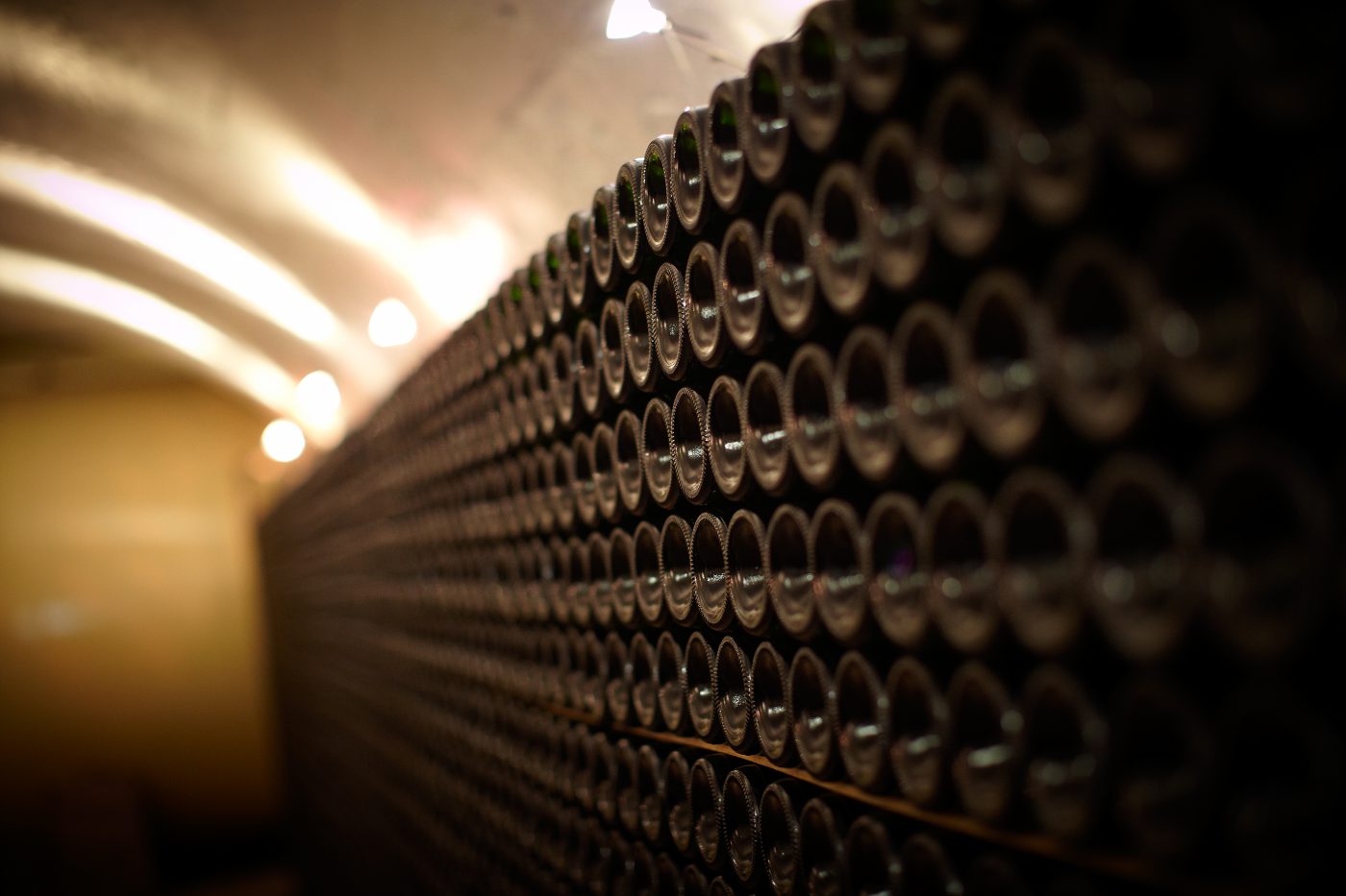 バーナード・マサールのセレクション