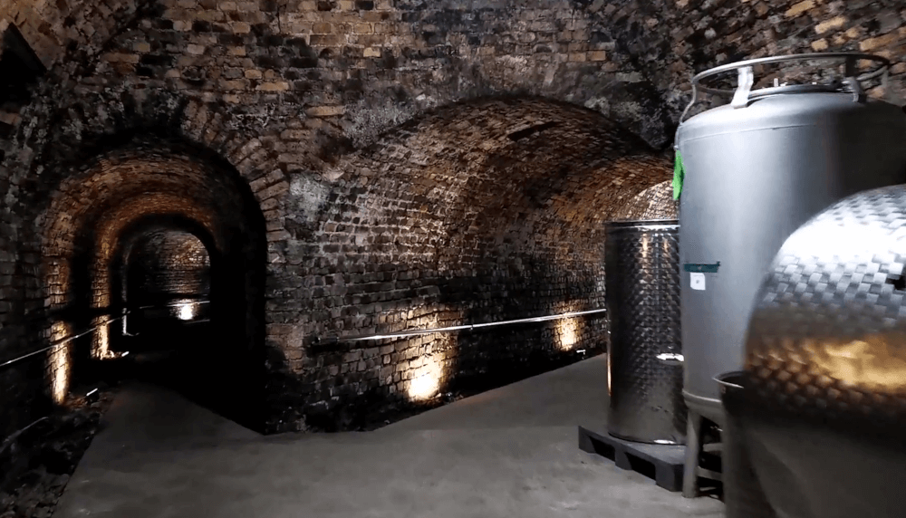 ワイナリー Loimer Altes Kellergewoelbe