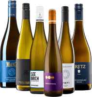 プレビュー: VINELLOのラインヘッセンの最高を詰め合わせた6点セット