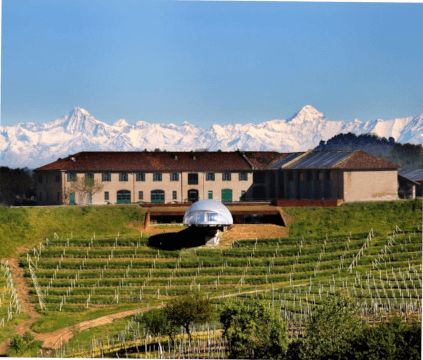 チェレットワイナリー