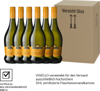 プレビュー: 6er Vorteils-Weinpaket - Prosecco Frizzante DOC - Villa Sandi