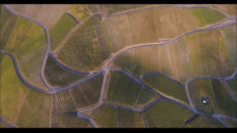 ペーター・メルテス 上空から見たブドウ畑 ペーター・メルテス 上空から見たブドウ畑