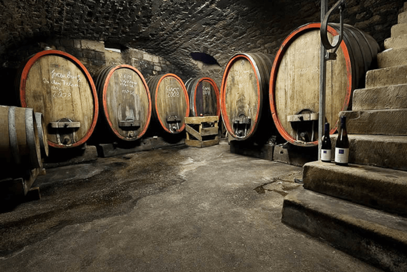 ドメーヌのセラー