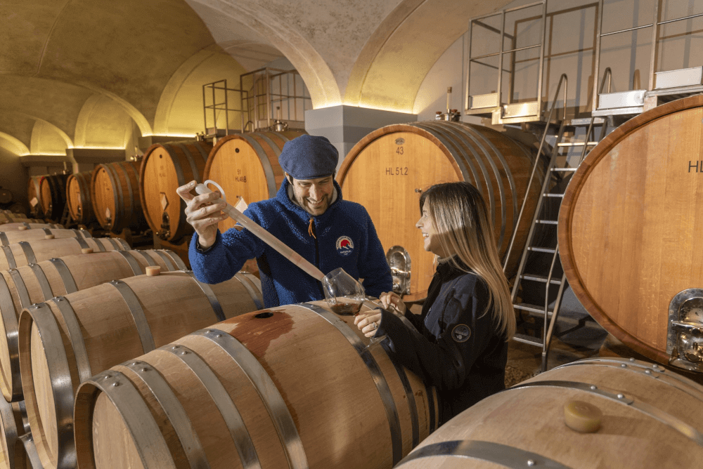 マウロ・モリーノ テイスティング マウロ・モリーノ テイスティング