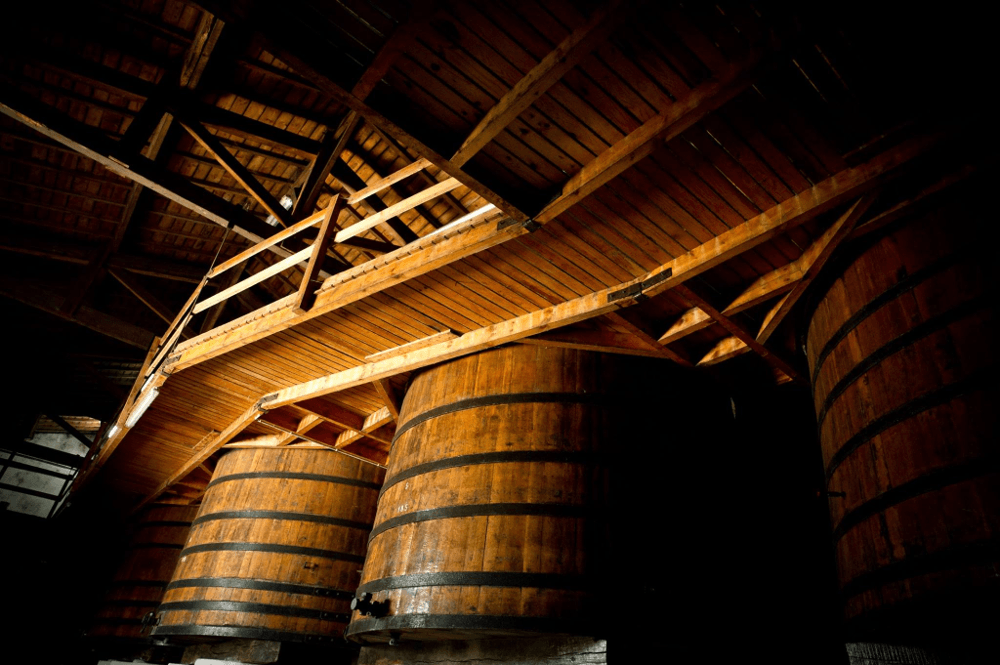 セラー内の様子