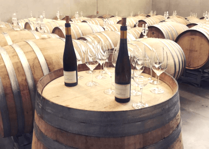 ドライジッガーのセラー ドライジッガーのセラー