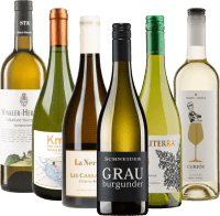 ヨーロッパを巡るロゼワインと - 6倍テイスティングパッケージ