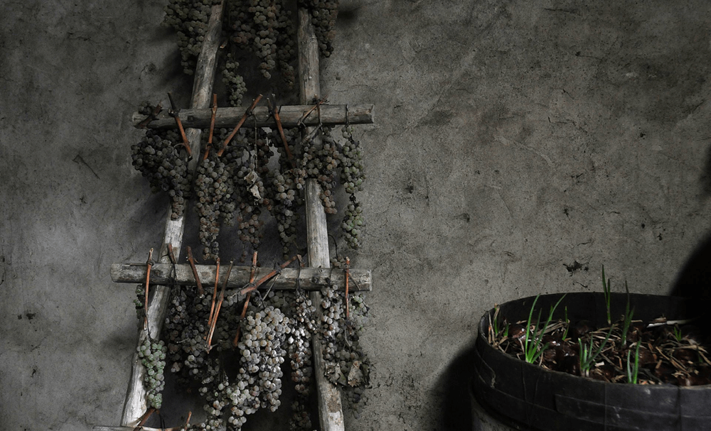 イ・ヴェロニ・ブドウ