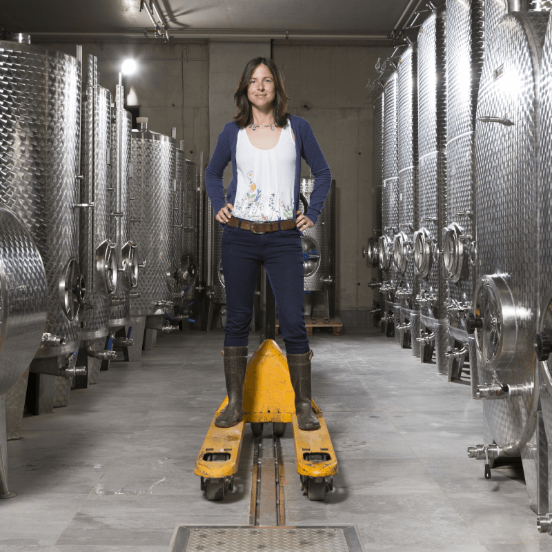 Im Keller von Ingrid Groiss Im Keller von Ingrid Groiss