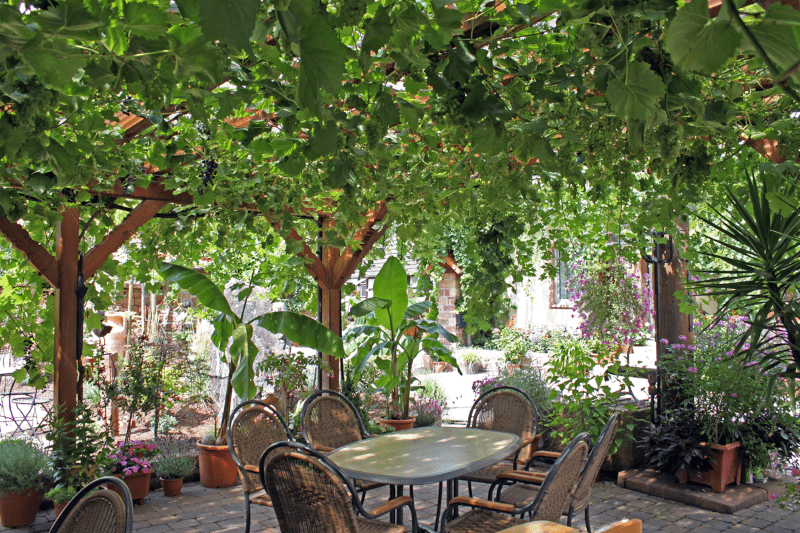 Ellermann-Spiegel Vinothek