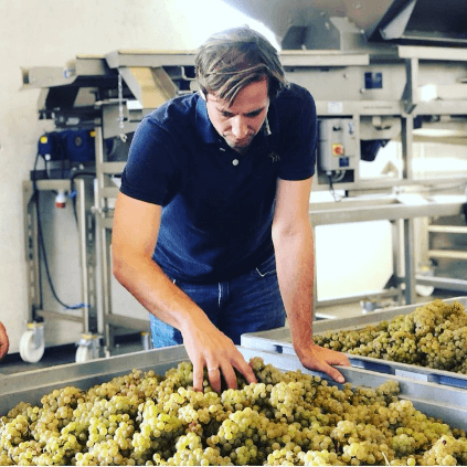 ドライジッガーのブドウ検査 ドライジッガーのブドウ検査