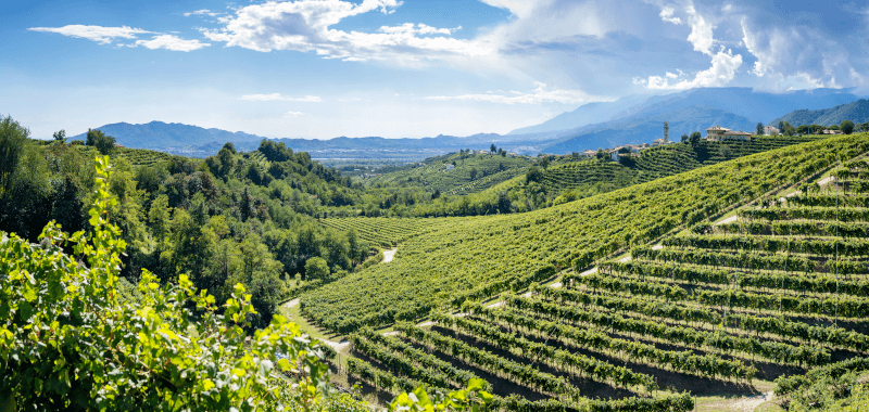 Die Hügel von Valdobbiadene, einer der Kernregionen für den Prosecco Die Hügel von Valdobbiadene, einer der Kernregionen für den Prosecco