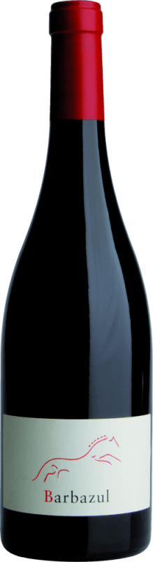 Barbazul Tinto Tierra de Cadiz - Huerta de Albala