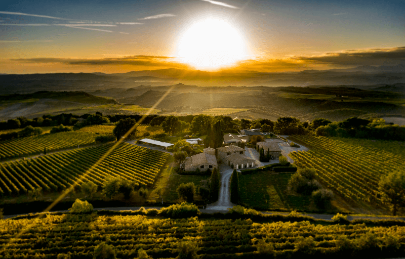 タレンティワイナリーの眺め