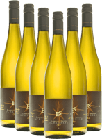 6x Vorteils-Weinpaket Scheurebe trocken - Ellermann-Spiegel
