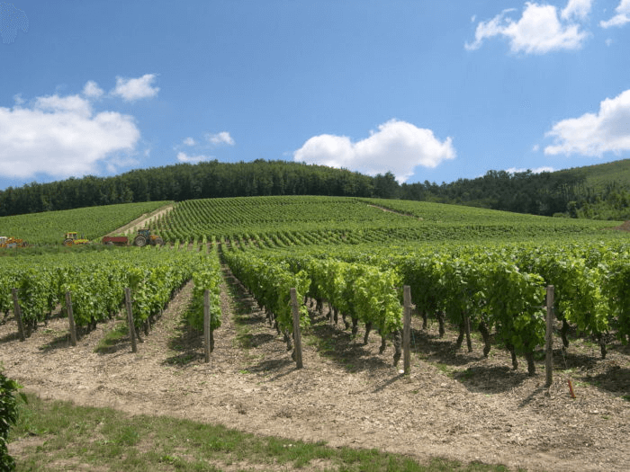 シャトー・ド・ラ・グレフィエール