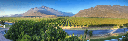 ベルクシール農園の二つの山 ベルクシール農園の二つの山