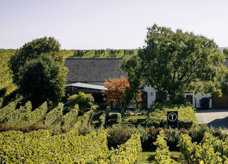 ティナ・パフマン・ワイナリー イン・ザ・グリーンズ ティナ・パフマン ワイナリー イン ザ グリューネン