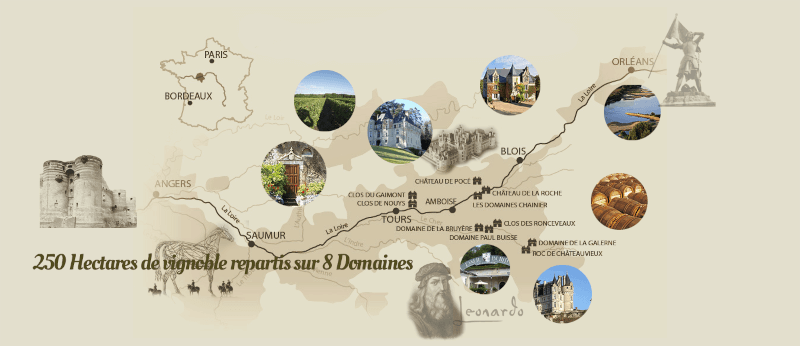 ピエール・シャニエ・ドメーヌ ピエール・シャニエ・ドメーヌ