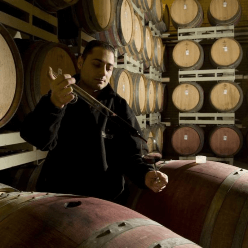 セラーで作業するタラモンティ