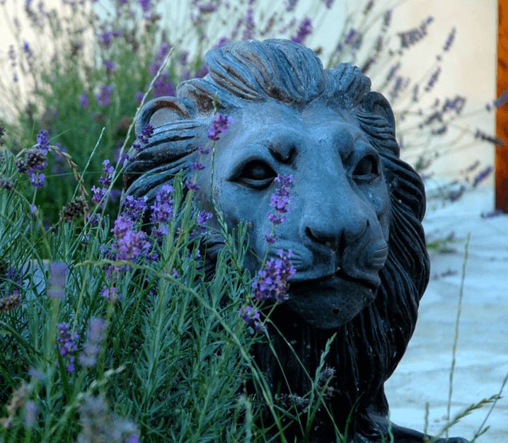 テヌータ・グアド・アル・タッソ・ライオン