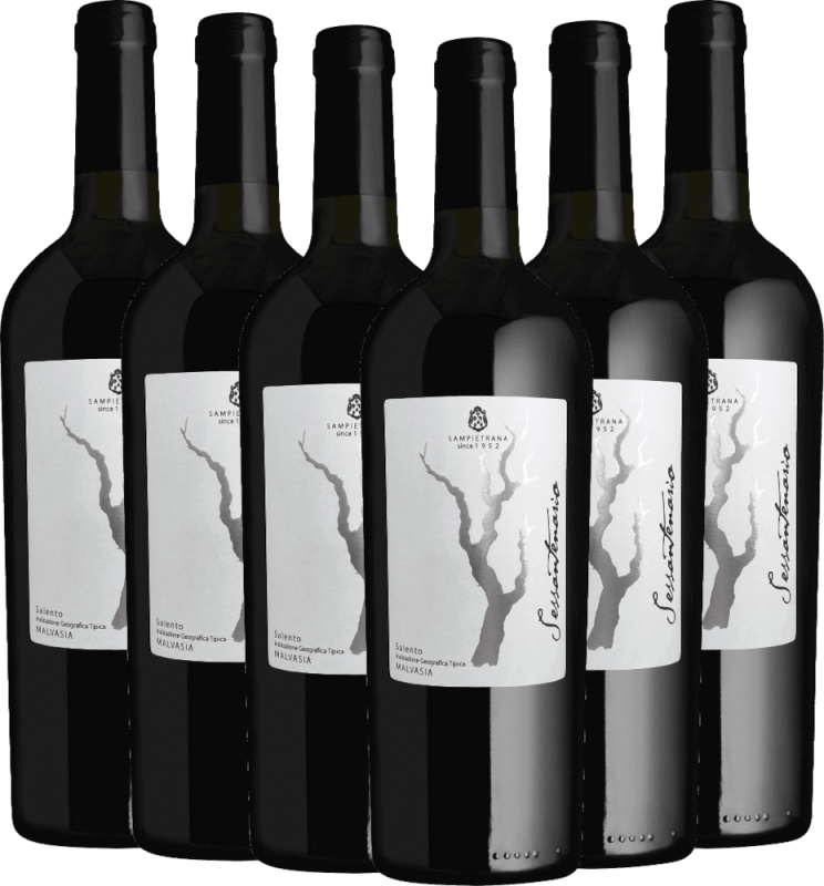 6er Vorteilspaket - Sessantenario Malvasia IGT - Cantina Sampietrana