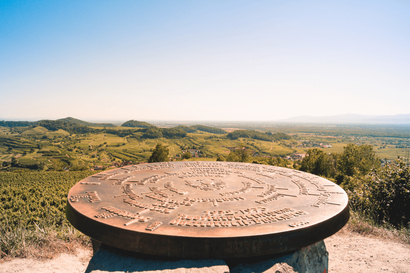 フォグツベルク フォグツベルク