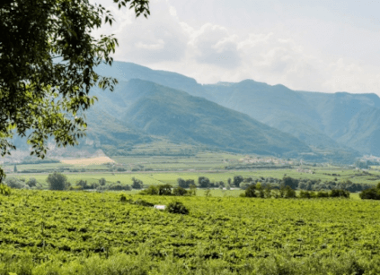 カンティーナ・ヴァルダディジェ周辺の地域 カンティーナ・ヴァルダディジェ周辺の地域