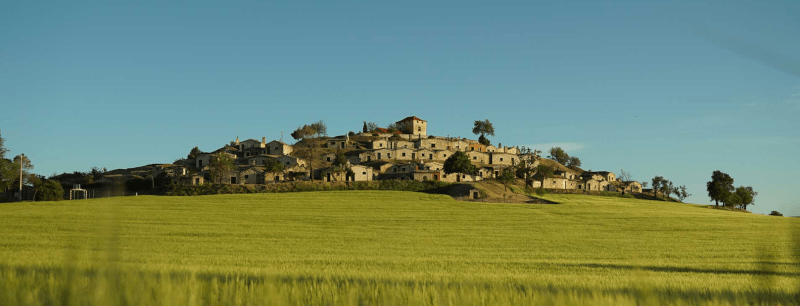 ボデガ・バルドス