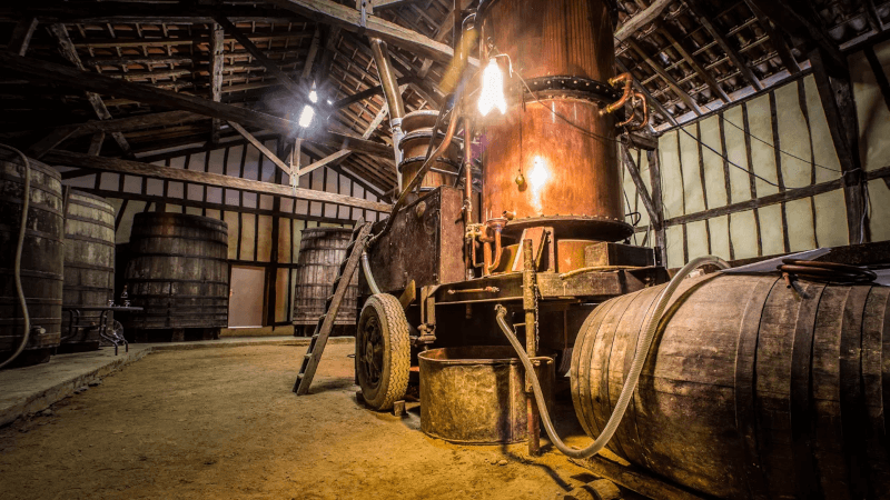 ドメーヌ・ラフィット ワインセラー