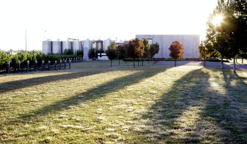 マウント・ライリーのブドウ畑とワイナリー マウント・ライリーのブドウ畑とワイナリー